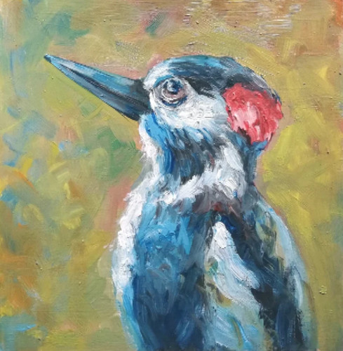 Vogel specht öl - specht, gemälde