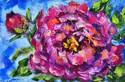 Pfingstrosen pink blumen - pink,