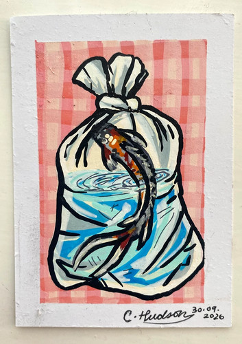Koi fisch aceo - aceo, künstler