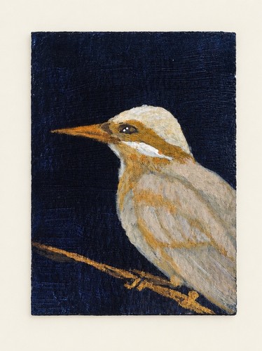 Original weiß gold - &, eisvogel